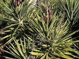 200-10-01-2026 IMG_3397